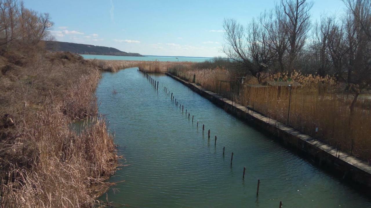 Nora Apartman Leilighet Balatonfůzfő Eksteriør bilde